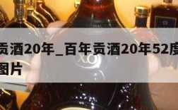 百年贡酒20年_百年贡酒20年52度价格表和图片